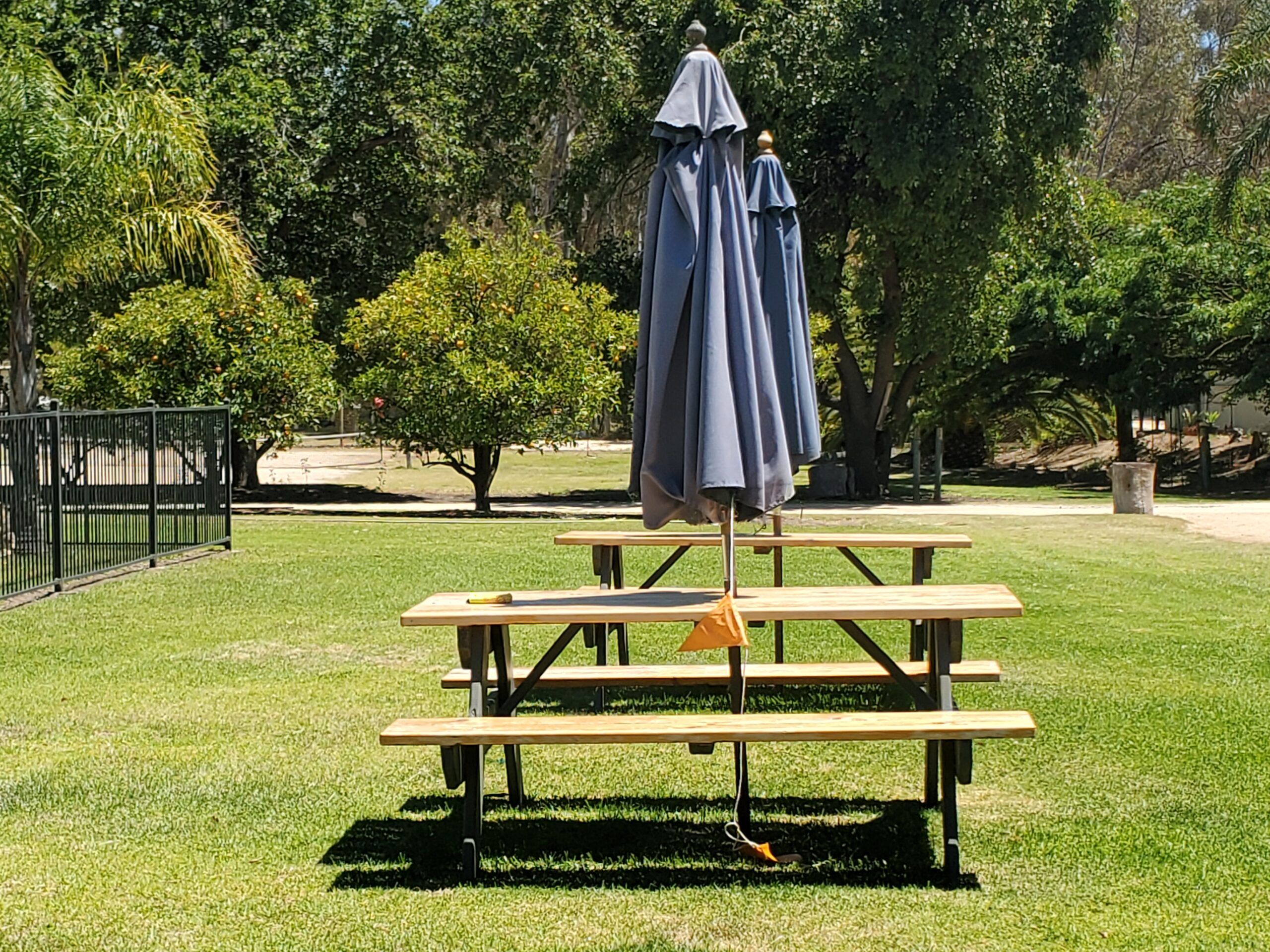 20251228_121538 - Copy