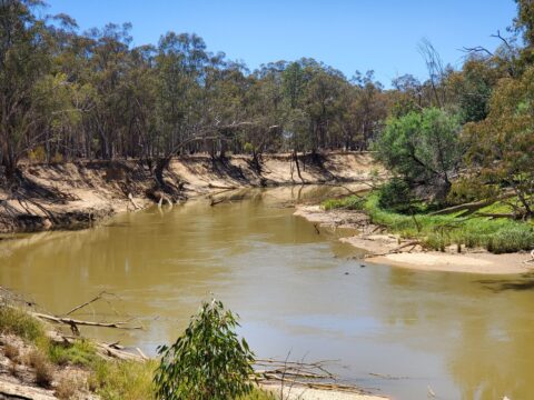 20251228_122803 - Copy